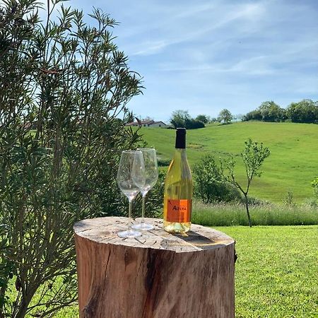 Maison De Vacances Pres De Marciac Troncens Kültér fotó